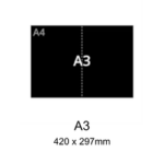 A3